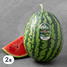 다올찬 맹동 꿀수박, 8kg 이상, 2개