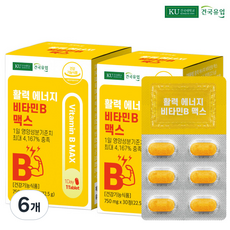 건국유업 활력 에너지 비타민B 맥스 22.5g, 6개, 30정