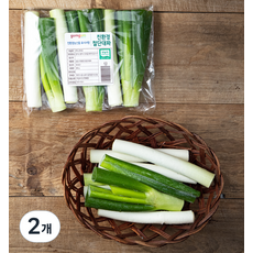 친환경 절단대파, 300g, 2개