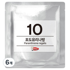 페스트세븐 페로몬 유인제 10 포도유리나방, 6개