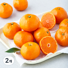 탑문주왕 당도선별 11brix 감귤, 800g(로얄과), 2박스
