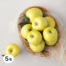 시나노골드 못난이사과, 2kg(중과, 9입 이내), 5개