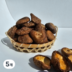 공감한입 건표고버섯, 100g, 5개