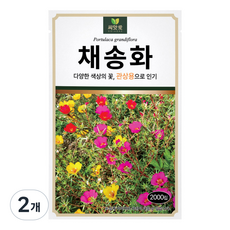 다농 씨앗애 채송화 씨앗 2000p, 2개
