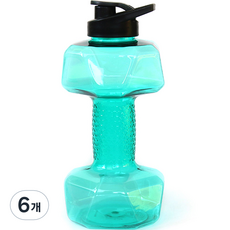 순잠 무게조절 물아령 워터 덤벨 1500ml 민트, 6개