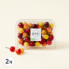 올푸릇 국내산 GAP 인증 저탄소 체리, 2개, 250g