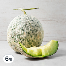 당도선별 머스크멜론, 1.6kg, 6개