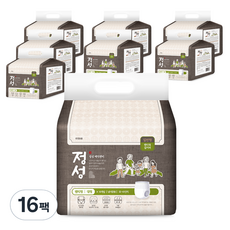 정성 남녀공용 매직팬티 성인기저귀, 대형, 10개입, 16개