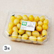 온리팜 GAP 인증 화이트 대추방울토마토, 500g, 3개
