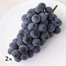 산지직송 아주마 영동 상주산 하우스 거봉포도(1수), 460g, 2개