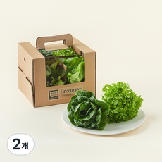 팜에이트 무농약 인증 Greenery+ 클래식 유러피안 샐러드믹스, 380g, 4개입, 2개