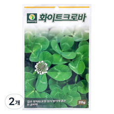 다농 화이트크로바 씨앗 20g, 2개