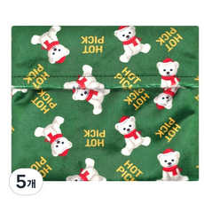 핫픽 포켓형 따뜻하곰 휴대용 프리미엄 극세사 핫팩 파우치 그린 대형, 5개
