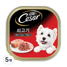 시저 반려견 주식캔, 소, 100g, 5개