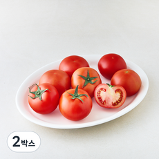 곰곰 친환경 토마토, 3kg, 2박스