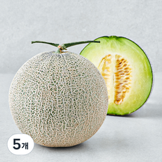 제이드가든 머스크메론, 1.5kg, 5개