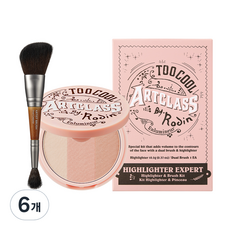 투쿨포스쿨 아트클래스 바이로댕 하이라이터 11g + 듀얼브러쉬, 2호, 6개