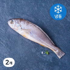 품질인증 초록바다 영광 굴비 (냉동), 130g(1미), 2개