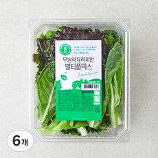 그린래빗 무농약 인증 유러피안 멀티플믹스 샐러드, 100g, 6개