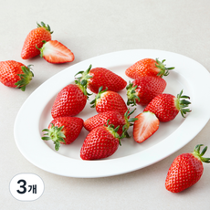 올푸릇 무농약 인증 금실딸기, 480g(대과), 3개