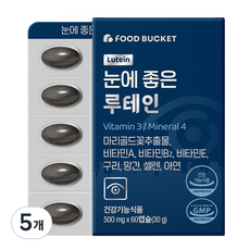 푸드버킷 눈에 좋은 루테인 30g, 60정, 5개