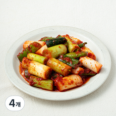 해담촌 대파김치, 800g, 4개