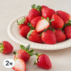 산지직송 제이드가든 설향 딸기, 750g(중과), 2팩