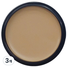 애리조 카마플레이지 크림 13g, No5 라이트베이지, 3개