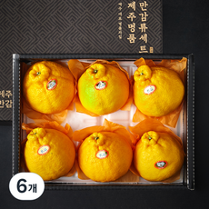 귤탐 고당도 한라봉 선물세트, 2kg(4~8입), 6개