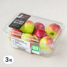 [로켓프레시]올프레쉬 GAP 인증 루비에스 미니사과, 400g, 3개