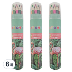 ARTMORE 專家用色鉛筆, 12色, 6個
