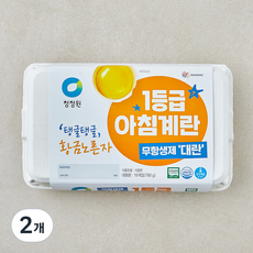 청정원 무항생제 인증 1등급 아침대란 780g, 2개, 15구
