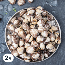 바다림 서해안에서 키운 산지직송 생물 새꼬막 (냉장), 1.5kg, 2개