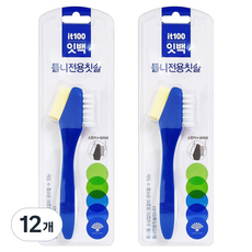 동화약품 잇백 세이클린 틀니전용 칫솔, 12개, 1개입