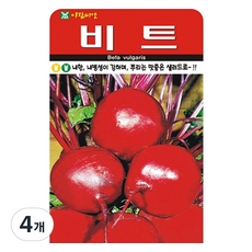 아람종묘 비트 씨앗, 4개