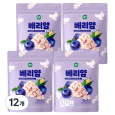 룰루맘 베리얌 과자, 25g, 12개, 혼합맛(블루베리/요거트)