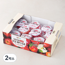 딜리조이 GAP 문경 세척 사과, 2kg(소과, 9~12입), 2박스