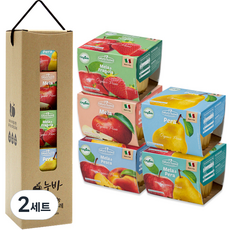 natura nuova 水果泥禮盒 5入組, 蘋果口味+梨子口味+蘋果水梨口味+蘋果草莓口味+蘋果水蜜桃口味, 2組