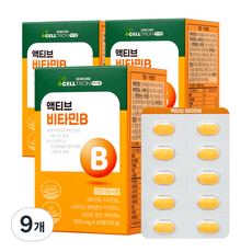 이너랩 액티브 활력 비타민B 콤플렉스 30g, 60정, 9개