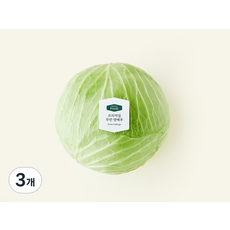 프리미엄 무안 양배추, 1.2kg, 1개입, 3개
