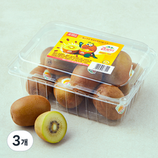제스프리 썬골드키위, 1kg(소과), 3개