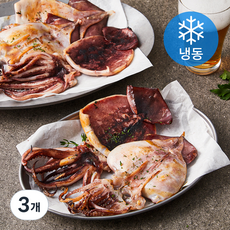 비비수산 구룡포에서 말린 반건조 오징어(냉동), 350g(5미), 3개