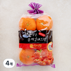 올레길 AI 당도선별 13.5brix 고당도 레드향, 4개, 1.2kg(랜덤과)