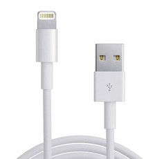 iBRIDGE 蘋果 Lightning 副廠線 1m 適用iPhone iPad, 白色, 1個
