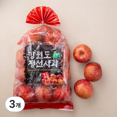 다조은 강원도 정선 당도선별 사과, 2.5kg, 3개
