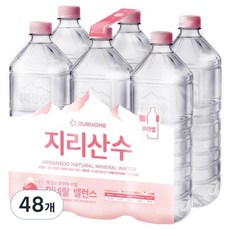아워홈 지리산수 무라벨, 48개, 2L