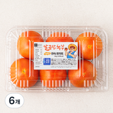 달콤한농부 스테비아 완숙토마토, 1kg, 6팩