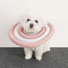 딩동펫 반려동물 초경량 넥카라, 핑크, 1개