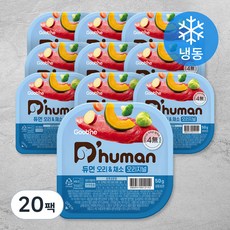 듀먼 전연령용 강아지 오리지널 화식사료, 오리+채소, 50g, 20개