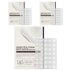 부케가르니 나드 시카 클리어 스팟패치 슬림케어 145매, 145개입, 3개